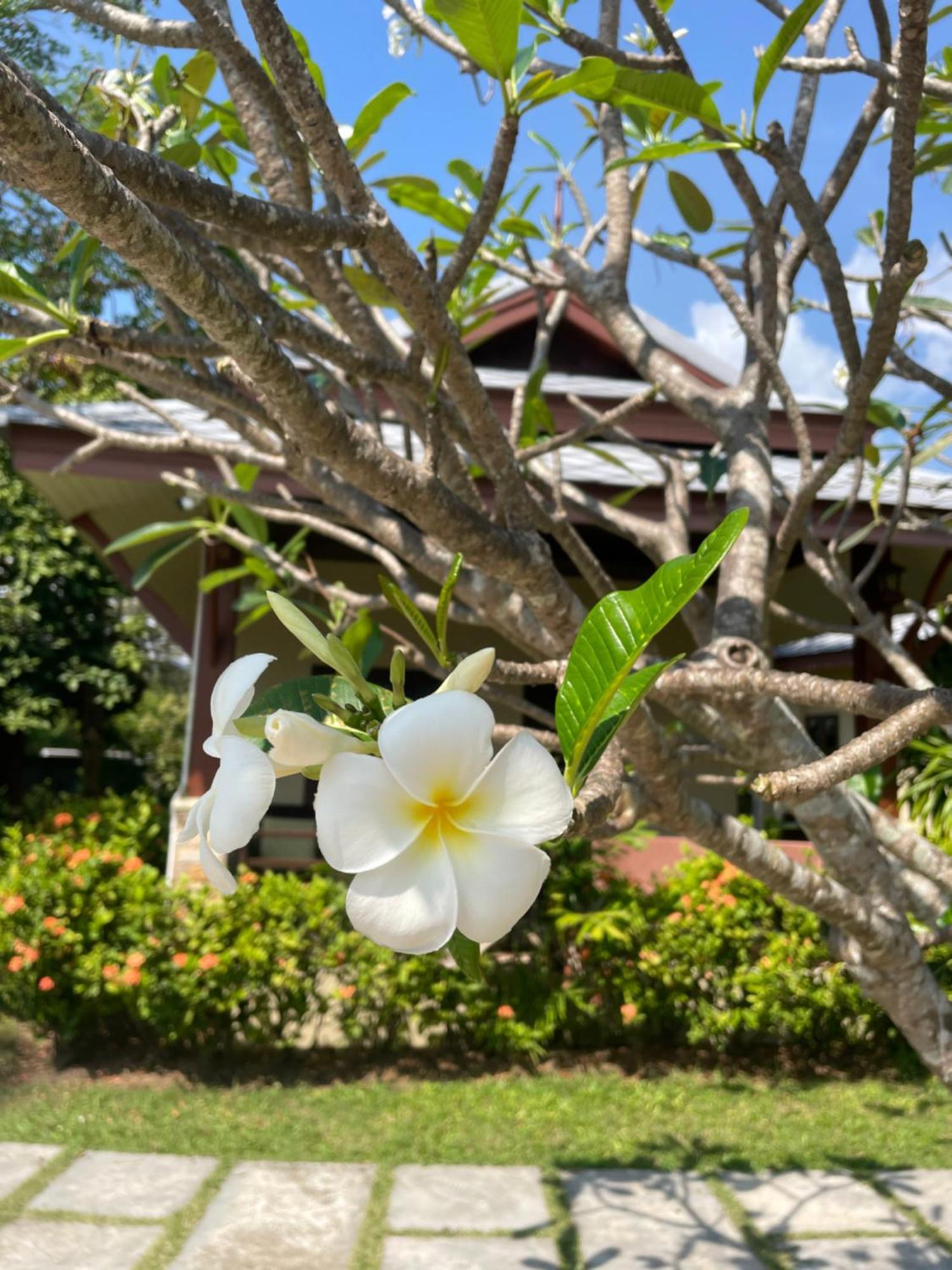 Grand Manita Beach Resort Lamai Beach (Koh Samui) Exterior foto